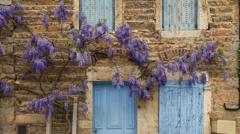 a building with purple flowers